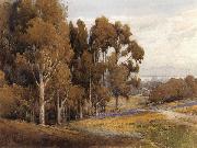 unknow artist A Grove of Eucalyptus in Spring oil painting artist